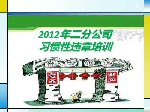 习惯性违章PPT课件