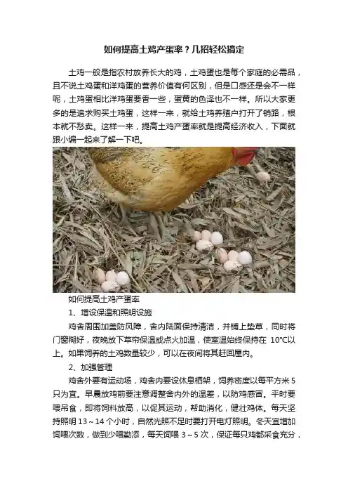 如何提高土鸡产蛋率？几招轻松搞定