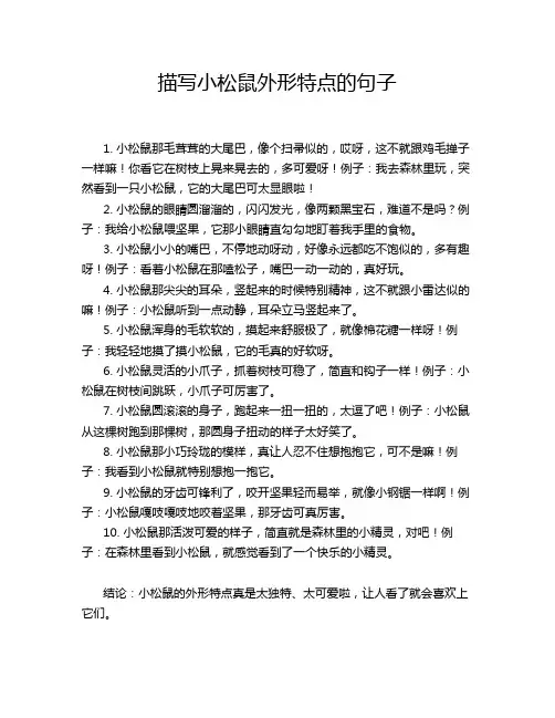 描写小松鼠外形特点的句子