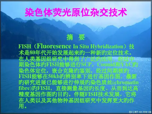 染色体荧光原位杂交技术