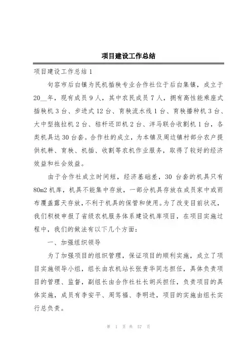 项目建设工作总结
