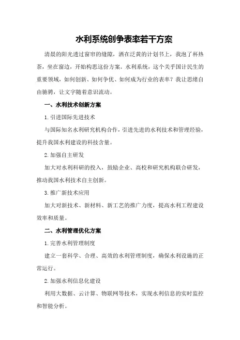 水利系统创争表率若干方案