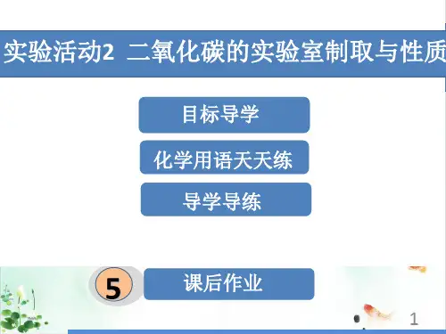 初中化学人教版《碳和碳的氧化物》优秀ppt课件