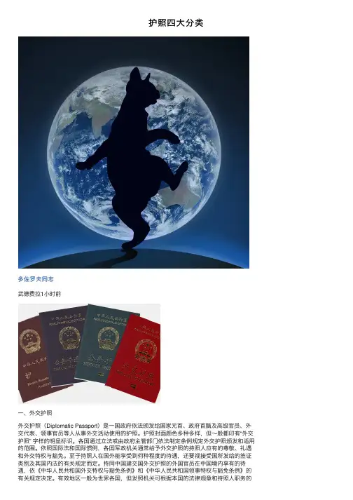护照四大分类