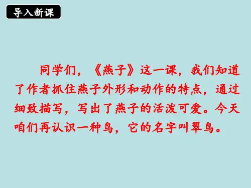 小学三年级语文下册第二单元第五课《翠鸟》名师课件(第一课时)(人教版)