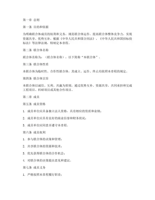 联合体章程模板