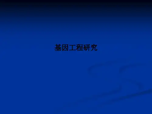 基因工程研究PPT课件