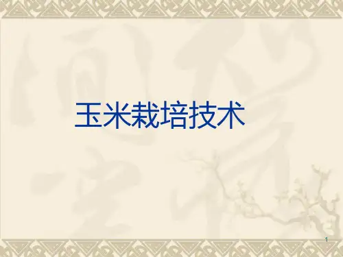 玉米栽培技术PPT课件