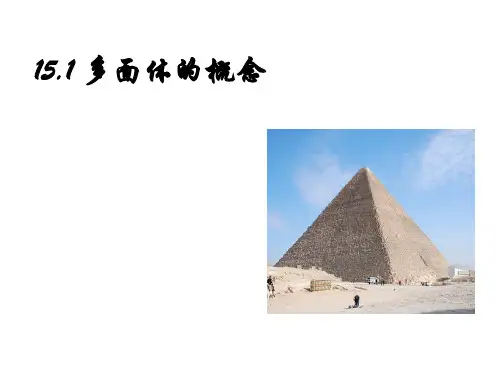 (上海)数学高三上册-15.1 多面体的概念  课件_2