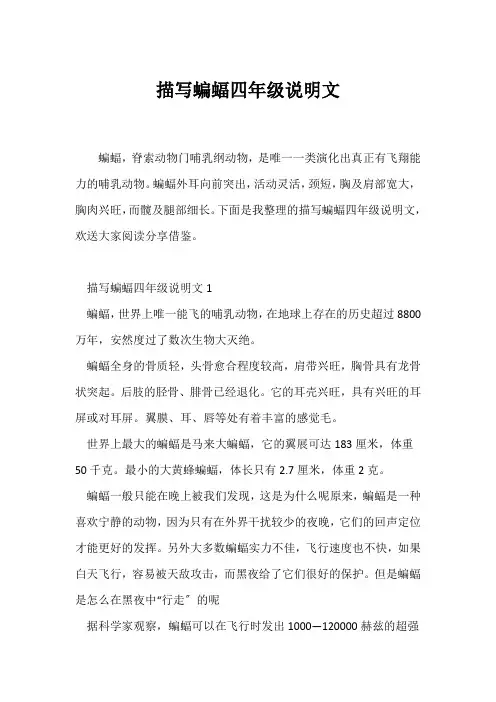 (说明文)描写蝙蝠四年级说明文