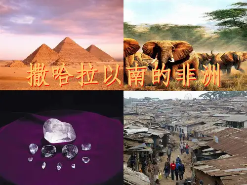 世界地理—撒哈拉以南的非洲ppt课件