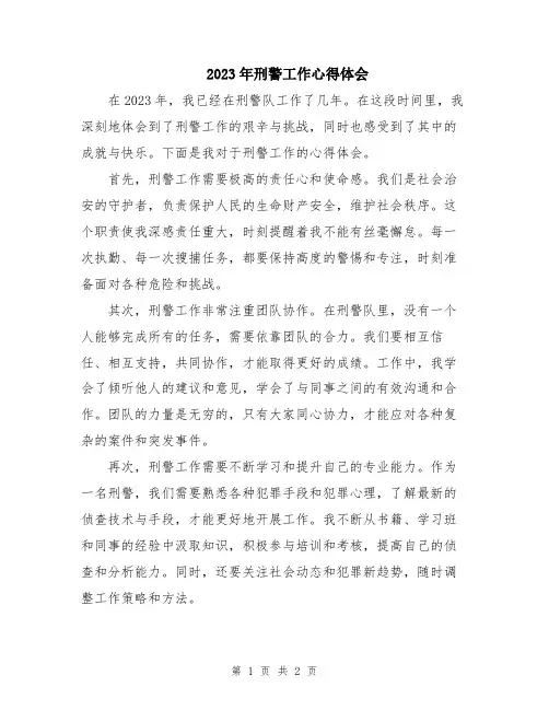 2023年刑警工作心得体会