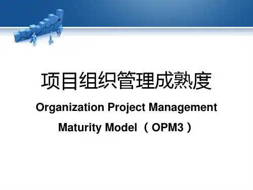 组织级项目管理成熟度(OPM3)