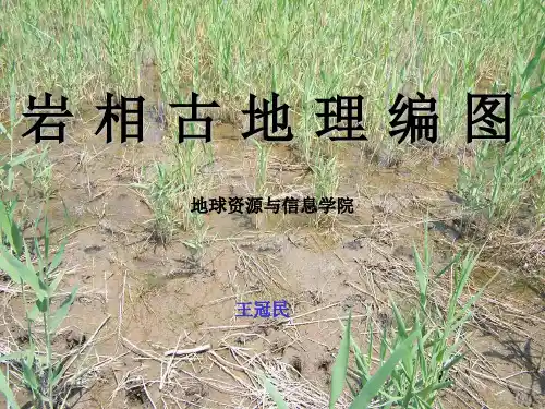 岩相古地理编图ppt课件