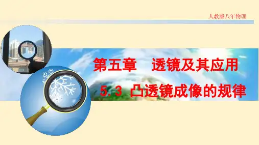 【初中物理】凸透镜成像规律+-2024-2025学年人教版物理八年级上册