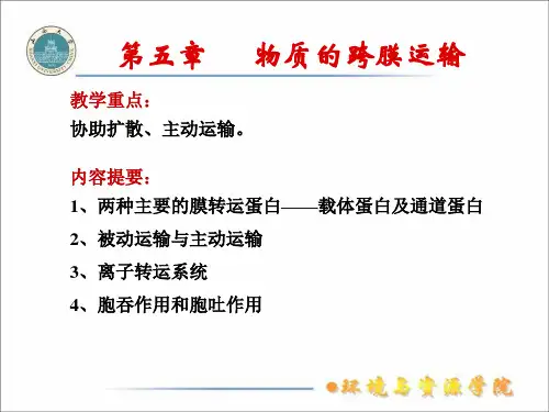 第五章-物质的跨膜运输1