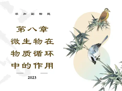 微生物载物质循环中的作用