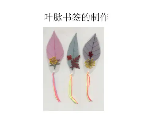 美术：叶脉书签的制作
