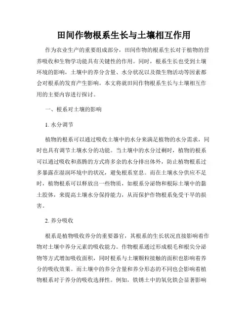田间作物根系生长与土壤相互作用
