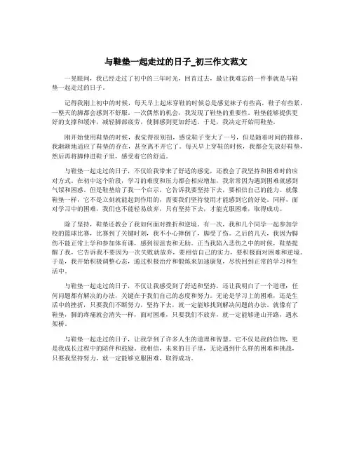 与鞋垫一起走过的日子_初三作文范文