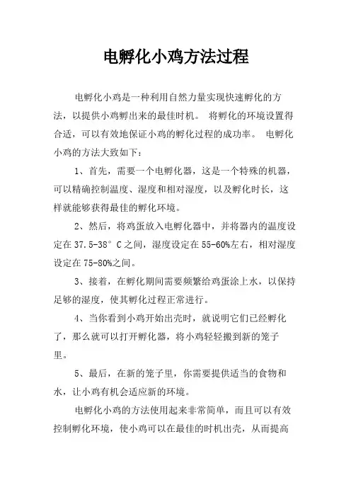 电孵化小鸡方法过程