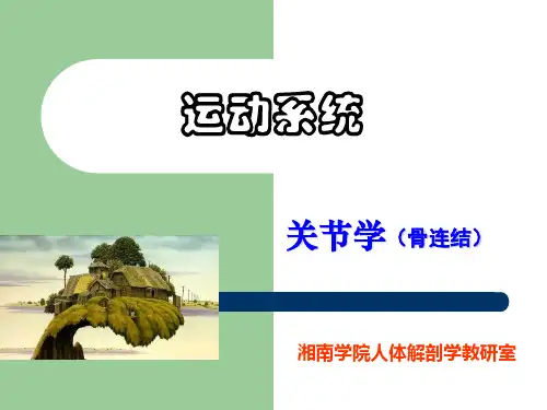 2关节学