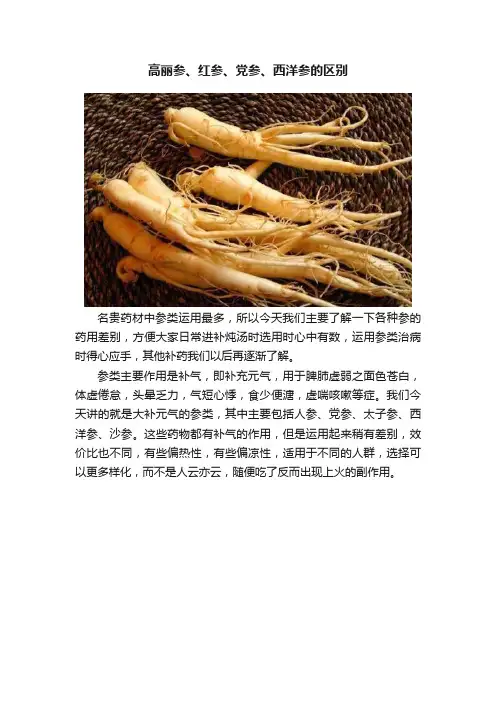 高丽参、红参、党参、西洋参的区别