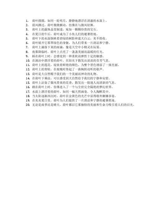 荷叶圆圆经典仿写句子