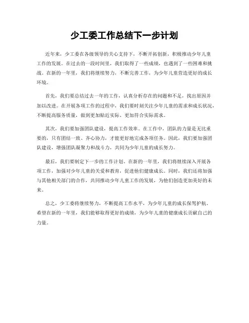 少工委工作总结下一步计划