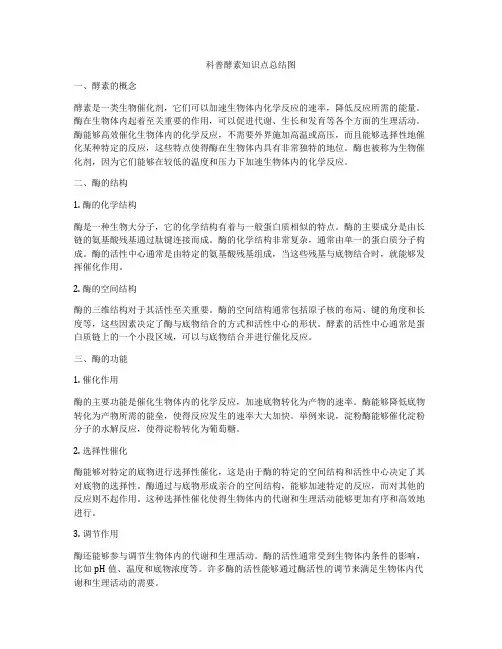 科普酵素知识点总结图