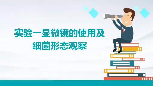 实验一显微镜的使用及细菌形态观察