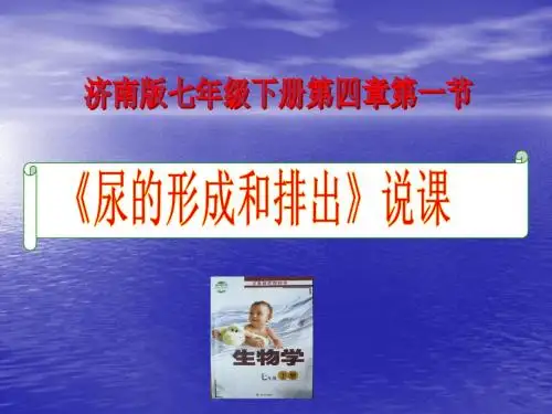 尿液的形成和排出说课