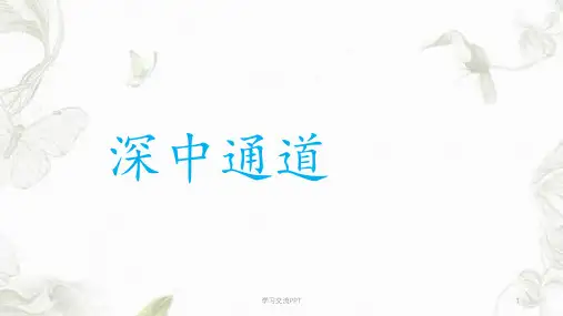 深中通道(新)课件