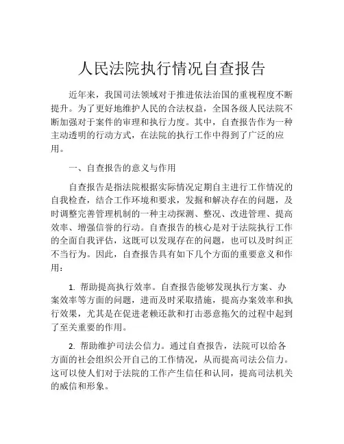 人民法院执行情况自查报告