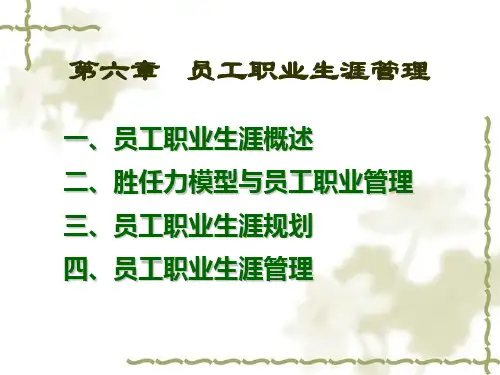 交大人力资源管理第六章PPT