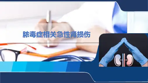 脓毒症相关急性肾损伤