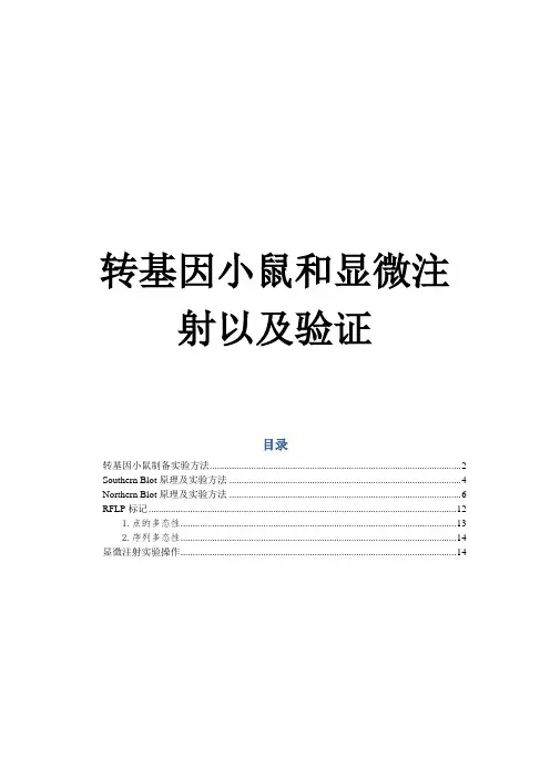 转基因小鼠和显微注射以及验证