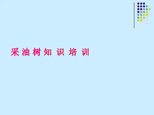 采气树基础知识