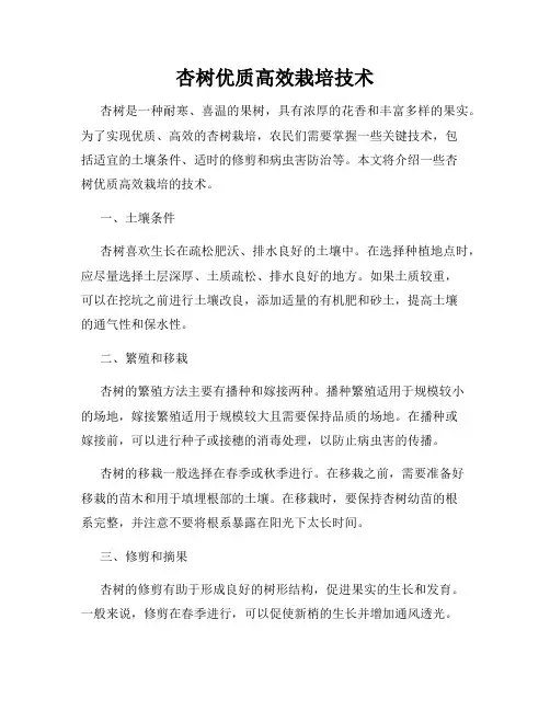 杏树优质高效栽培技术