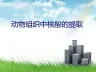 核酸的分离提取及定量