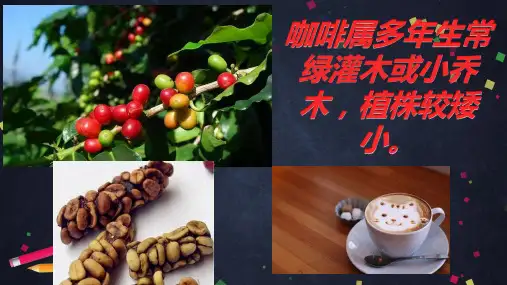 气候类型分布模式图及气候成因
