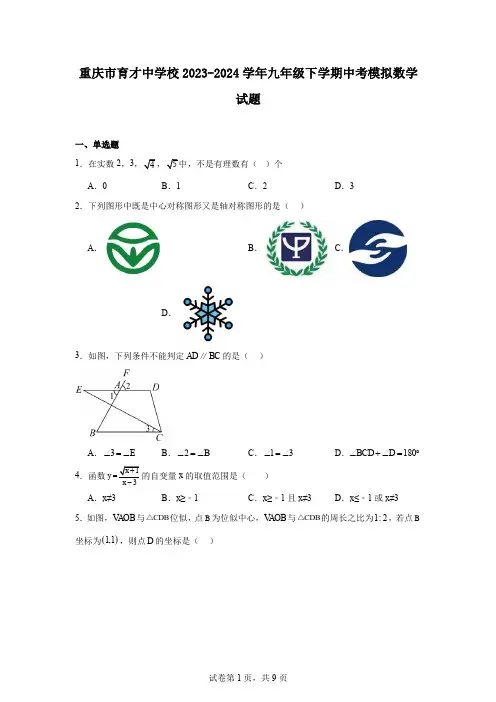 重庆市育才中学校2023-2024学年九年级下学期中考模拟数学试题