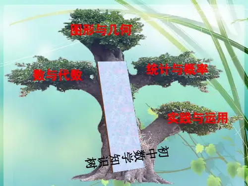 初中数学知识树 PPT课件 图文