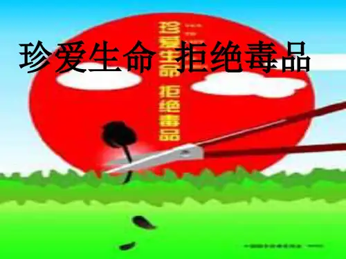 禁毒主题班会(1)PPT课件