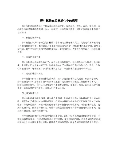 彩叶植物在园林绿化中的应用