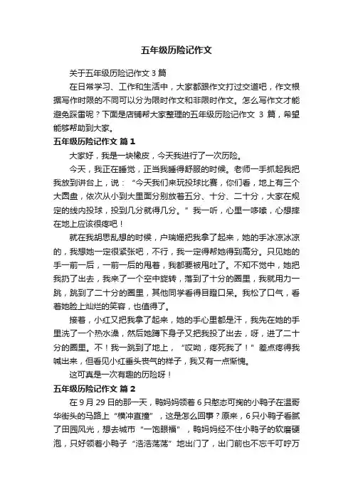 五年级历险记作文