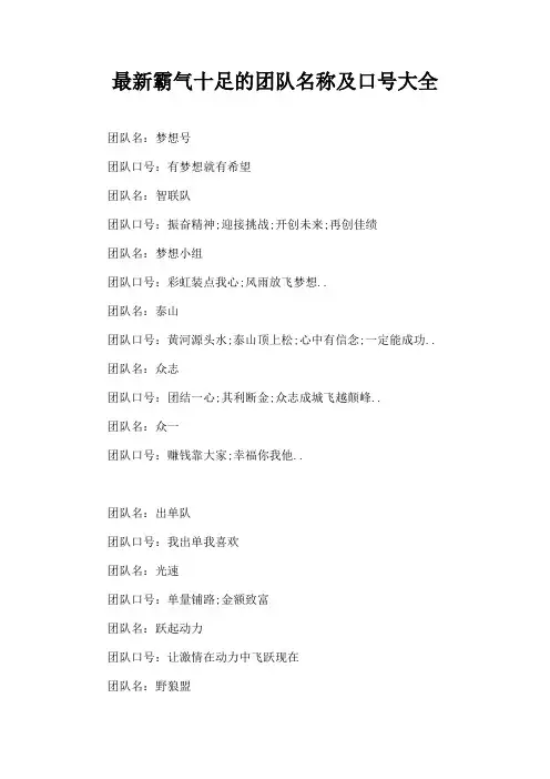 霸气十足的团队名称及口大全