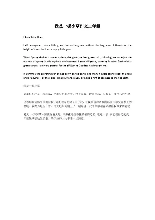 我是一棵小草作文二年级