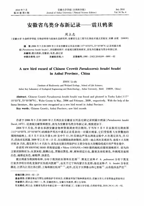 安徽省鸟类分布新记录——震旦鸦雀