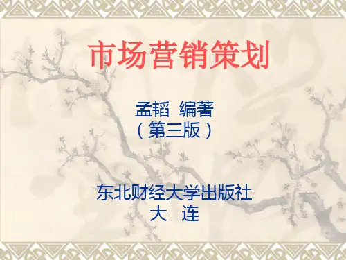 市场营销策划课件孟韬